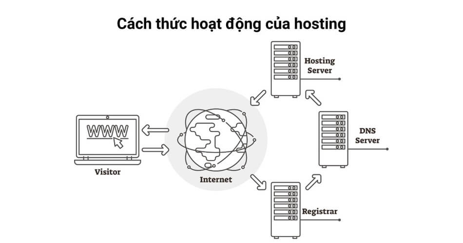cach-thuc-hoat-dong-cua-hosting