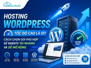 Hosting WordPress tốc độ cao là gì? Cách chọn gói phù hợp để website tải nhanh và dễ mở rộng